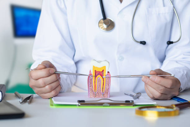 Best Emergency Gum Treatment in Arlington, OH